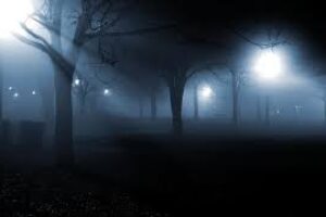 A foggy night with trees and lights in the dark.