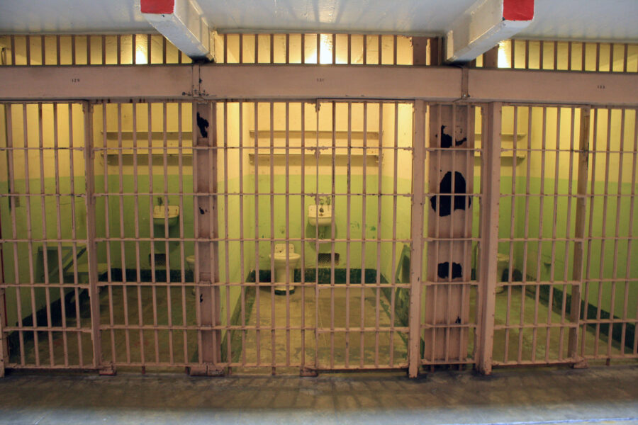 A cat is sitting in its cage behind bars.